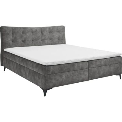 ED EXCITING DESIGN Melrose Microvelours Bett - Boxspringbett ED EXCITING DESIGN Melrose Microvelours Bett - Boxspringbett