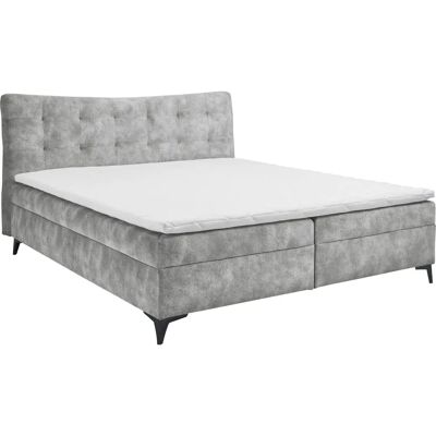 ED EXCITING DESIGN Melrose Microvelours Boxspringbett - Boxspring bed ED EXCITING DESIGN Melrose Microvelours Boxspringbett - Boxspring bed