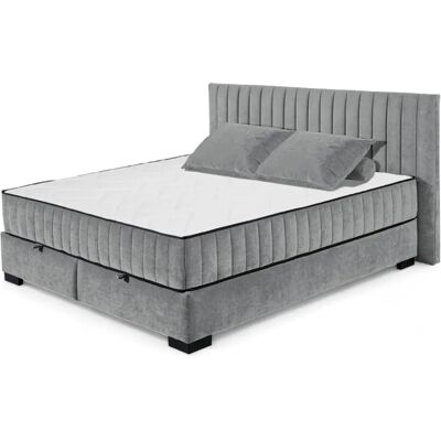 ED EXCITING DESIGN Nagol Microvelours Boxbett - Komplett mit Stauraum ED EXCITING DESIGN Nagol Microvelours Boxbett - Komplett mit Stauraum
