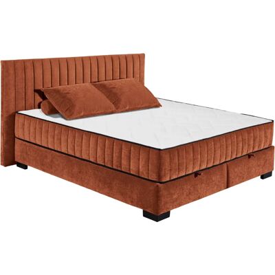 ED EXCITING DESIGN Nagol Microvelours Boxbett - 180x200cm ED EXCITING DESIGN Nagol Microvelours Boxbett - 180x200cm