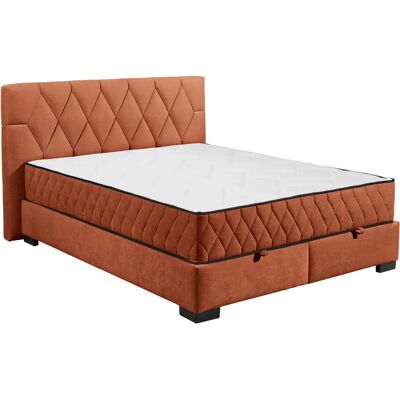 ED EXCITING DESIGN Nagol - Microvelours Bett mit Stauraum - Boxspringbett ED EXCITING DESIGN Nagol - Microvelours Bett mit Stauraum - Boxspringbett