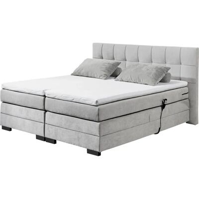 ED EXCITING DESIGN Talena - Microvelours, 180x200cm, Motor ED EXCITING DESIGN Talena - Microvelours, 180x200cm, Motor