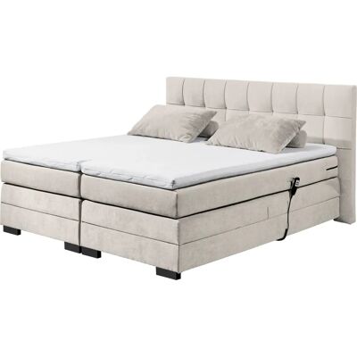 ED EXCITING DESIGN Talena Microvelours Boxspringbett - Boxspringbett ED EXCITING DESIGN Talena Microvelours Boxspringbett - Boxspringbett