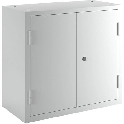 Eurokraft Basic Gabinete de Pared - Acero, Gris Claro RAL 7035 Eurokraft Basic Gabinete de Pared - Acero, Gris Claro RAL 7035