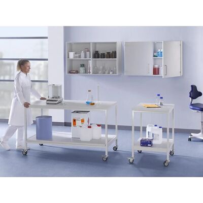 Estantería colgante Kaiserkraft - 2 baldas - Gris luminoso - Almacenamiento de laboratorio Estantería colgante Kaiserkraft - 2 baldas - Gris luminoso - Almacenamiento de laboratorio