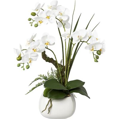 KaiserKraft Phalaenopsis - Real Touch, 460mm, Weiß - Kunstpflanze KaiserKraft Phalaenopsis - Real Touch, 460mm, Weiß - Kunstpflanze