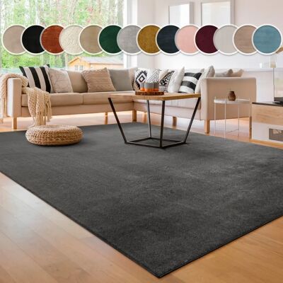 Tappeto PACO HOME a Pelo Corto - Morbido, Lavabile, Grigio 60x100cm Tappeto PACO HOME a Pelo Corto - Morbido, Lavabile, Grigio 60x100cm