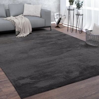 Paco Home - Tappeto a Pelo Corto - Morbido, Lavabile, Grigio Scuro - 80x150cm Paco Home - Tappeto a Pelo Corto - Morbido, Lavabile, Grigio Scuro - 80x150cm
