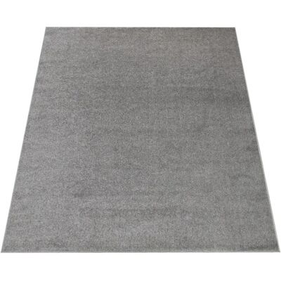 Tappeto PACO HOME Porto 890 - Pelo corto, grigio, 120x170cm Tappeto PACO HOME Porto 890 - Pelo corto, grigio, 120x170cm