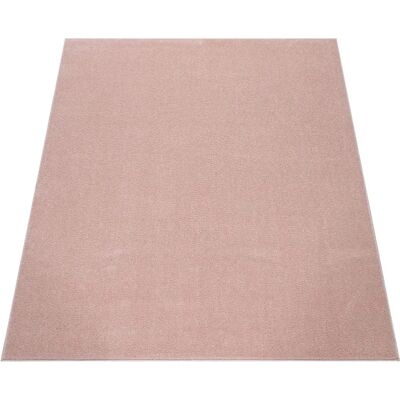 PACO HOME Porto 890 Tappeto - Design semplice ed elegante, Polipropilene, 80x250cm PACO HOME Porto 890 Tappeto - Design semplice ed elegante, Polipropilene, 80x250cm