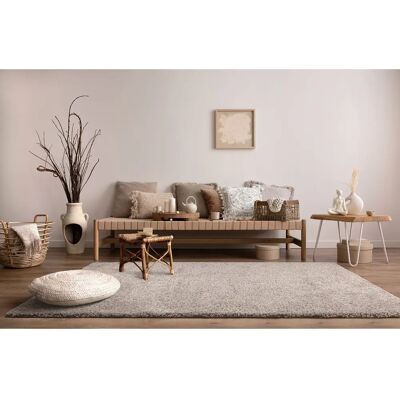 Tapis Shaggy à Long Pile Paco Home - Doux & Lavable - 60x90cm - Publicité Tapis Shaggy à Long Pile Paco Home - Doux & Lavable - 60x90cm - Publicité