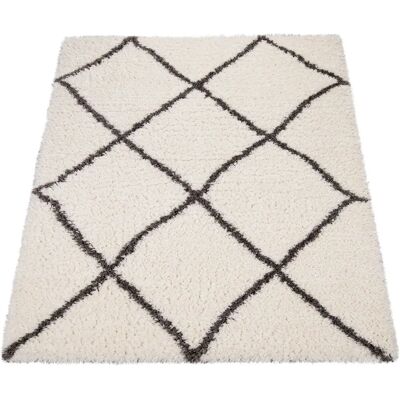Paco Home Modell Dezenter Skandinavischer Langhaar-Teppich - Teppich Paco Home Modell Dezenter Skandinavischer Langhaar-Teppich - Teppich