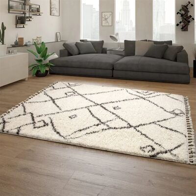 Paco Home Langhaariger Shaggy-Teppich - Skandinavischer Boho-Chic 60x100 cm Paco Home Langhaariger Shaggy-Teppich - Skandinavischer Boho-Chic 60x100 cm