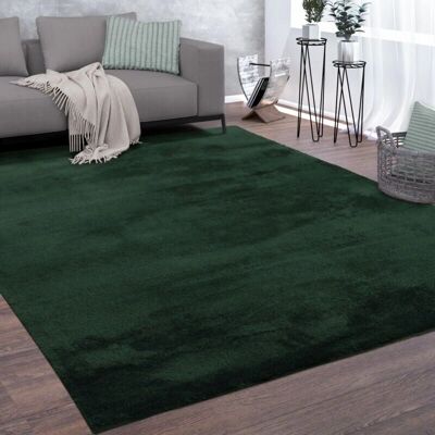 Alfombra PACO HOME Cadiz 630 Verde - Rectangular, 160x220 cm, Suave y Lavable Alfombra PACO HOME Cadiz 630 Verde - Rectangular, 160x220 cm, Suave y Lavable