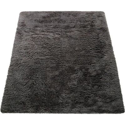 PACO HOME Silky 591 - Weicher Hochflor-Teppich PACO HOME Silky 591 - Weicher Hochflor-Teppich