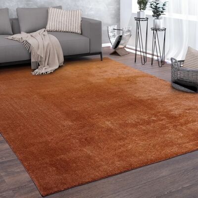 PACO HOME Tappeto Rotondo Cobre - Design Moderno a Pelo Corto PACO HOME Tappeto Rotondo Cobre - Design Moderno a Pelo Corto