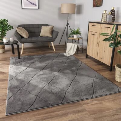 PACO HOME - Tappeto Salotto Moderno - 60x100 cm - Antracite - Rug PACO HOME - Tappeto Salotto Moderno - 60x100 cm - Antracite - Rug