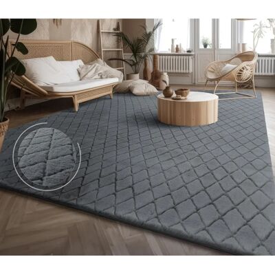 PACO HOME Arnheim 742 Weicher Hochflor-Teppich - Teppich PACO HOME Arnheim 742 Weicher Hochflor-Teppich - Teppich