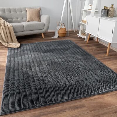 PACO HOME Arnheim 743 - Hochflor-Teppich - Grau PACO HOME Arnheim 743 - Hochflor-Teppich - Grau