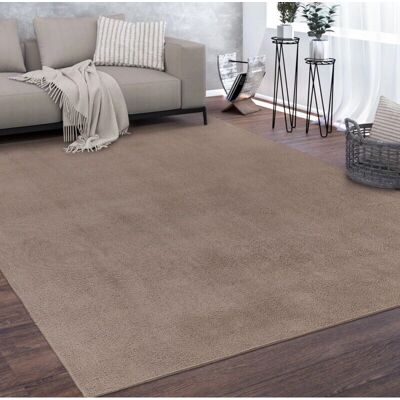 Alfombra Salón Pelo Corto Lavable - Alfombra Alfombra Salón Pelo Corto Lavable - Alfombra