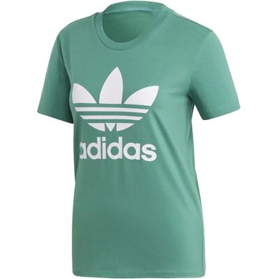adidas Trefoil T-shirt FM3300 Vit Hela året - T-Shirt adidas Trefoil T-shirt FM3300 Vit Hela året - T-Shirt