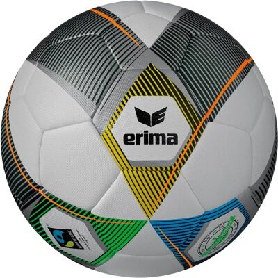 Erima Hybrid Eco Plata 5 - Bal de entrenamiento Erima Hybrid Eco Plata 5 - Bal de entrenamiento