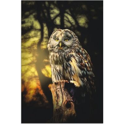 ARTLAND - Eule - Gelb - Alu-Dibond - Wall art ARTLAND - Eule - Gelb - Alu-Dibond - Wall art