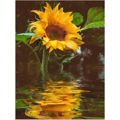 ARTLAND - Sonnenblume - 30x40 cm ARTLAND - Sonnenblume - 30x40 cm