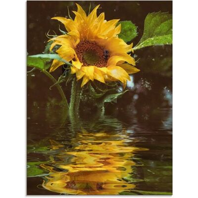 ARTLAND Sonnenblume Glasbild - Blumen in Verschiedenen Größen ARTLAND Sonnenblume Glasbild - Blumen in Verschiedenen Größen