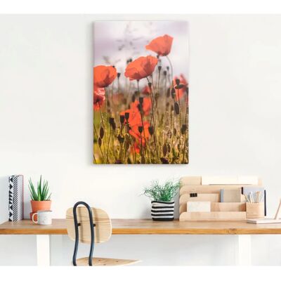 ARTLAND Mohnblumen im Morgenlicht - Wandbild ARTLAND Mohnblumen im Morgenlicht - Wandbild