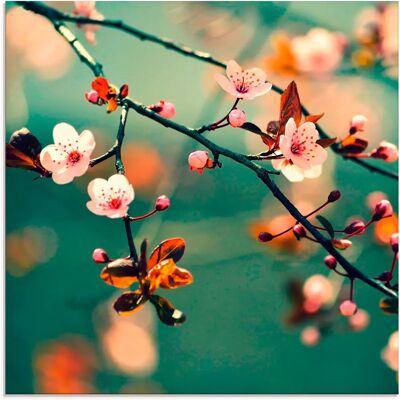 ARTLAND Glasbild Sakura Blumen - Wanddekoration ARTLAND Glasbild Sakura Blumen - Wanddekoration