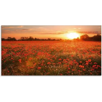 ARTLAND Mohnblumenfeld bei Sonnenuntergang Glasbild - Blumen, Rot, 100x50cm ARTLAND Mohnblumenfeld bei Sonnenuntergang Glasbild - Blumen, Rot, 100x50cm