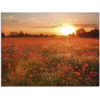 ARTLAND Mohnblumenfeld bei Sonnenuntergang - Wandkunst ARTLAND Mohnblumenfeld bei Sonnenuntergang - Wandkunst