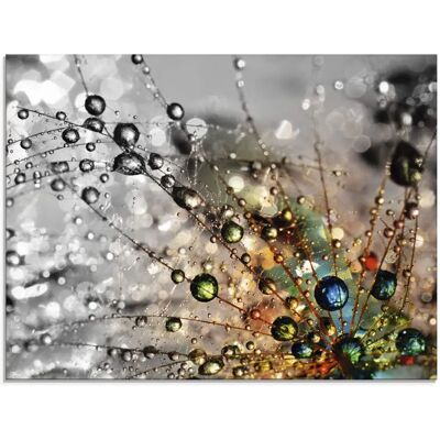 ARTLAND Farbenfrohe Natur Glasbild - Wanddekoration ARTLAND Farbenfrohe Natur Glasbild - Wanddekoration