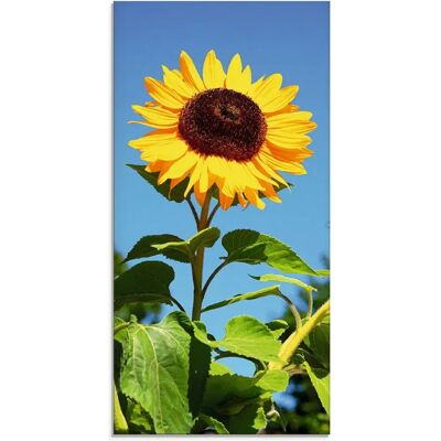 ARTLAND Große Sonnenblume Glasbild - Wanddekoration ARTLAND Große Sonnenblume Glasbild - Wanddekoration