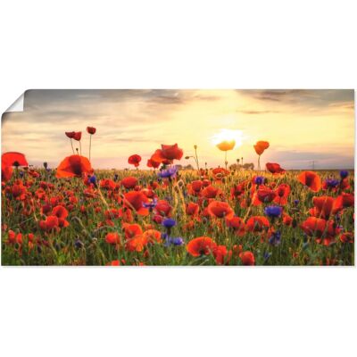 ARTland - Mohnblumen - Rot - Wandbild Druck ARTland - Mohnblumen - Rot - Wandbild Druck