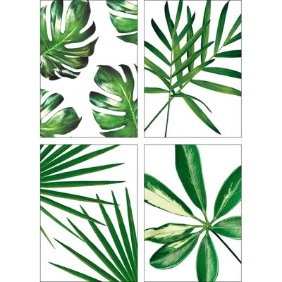 ARTland - Blätter - Grün - 21x29.7 cm - Poster ARTland - Blätter - Grün - 21x29.7 cm - Poster