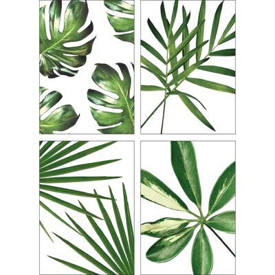 ARTland - Blätter - Grün - 21x29.7 cm - Poster ARTland - Blätter - Grün - 21x29.7 cm - Poster