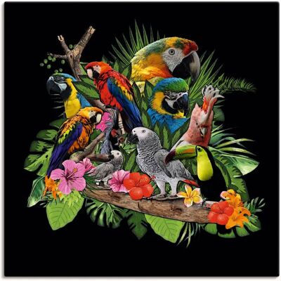 ARTLAND Papageien Graupapagei Kakadu Dschungel - Wandbild ARTLAND Papageien Graupapagei Kakadu Dschungel - Wandbild
