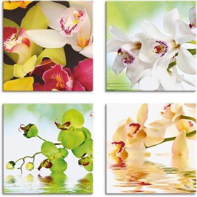ARTland - Orchideen Blumen - 30x30 cm - Canvas print ARTland - Orchideen Blumen - 30x30 cm - Canvas print