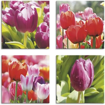 ARTLAND Frühling & Tulpen Leinwand - 40x40cm, Pink, 4 Stück - Wanddekoration ARTLAND Frühling & Tulpen Leinwand - 40x40cm, Pink, 4 Stück - Wanddekoration