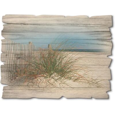 ARTland - Schöne Sanddüne mit Gräsern und Zaun ARTland - Schöne Sanddüne mit Gräsern und Zaun