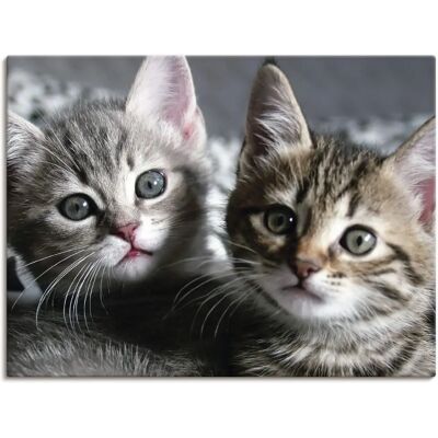 ARTLAND Katze Wandbild - 40x30 cm - Grau - Leinwand & Alu ARTLAND Katze Wandbild - 40x30 cm - Grau - Leinwand & Alu