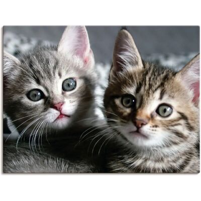 ARTLAND Katze Wandbild - Digitaldruck, Leinwand, Alu - 60x45cm ARTLAND Katze Wandbild - Digitaldruck, Leinwand, Alu - 60x45cm