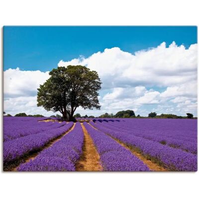ARTLAND Lavendel im Sommer Wandbild - Leinwand & Alu ARTLAND Lavendel im Sommer Wandbild - Leinwand & Alu