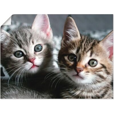 ARTLAND Katze - 60x45 cm - grau - Wandbild ARTLAND Katze - 60x45 cm - grau - Wandbild