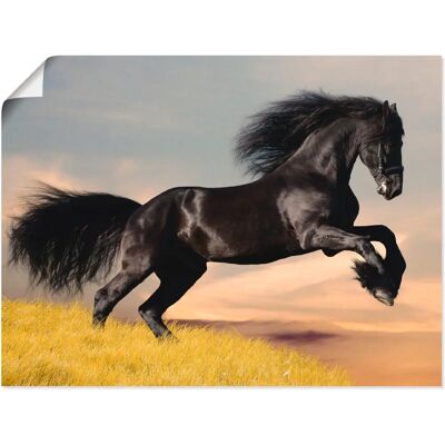 ARTLAND - Friesischer Hengstgalopp - 40x30 cm ARTLAND - Friesischer Hengstgalopp - 40x30 cm