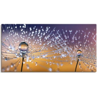 ARTLAND Orange Pusteblumen Tautropfen Wandbild - Leinwand/Alu/Poster ARTLAND Orange Pusteblumen Tautropfen Wandbild - Leinwand/Alu/Poster