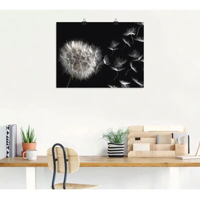 ARTLAND - Pusteblume - 80x60 cm - schwarz - Alu-Dibond - Wandbild ARTLAND - Pusteblume - 80x60 cm - schwarz - Alu-Dibond - Wandbild