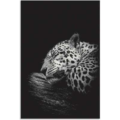 ARTland - Der schlafende Jaguar - Wandkunst ARTland - Der schlafende Jaguar - Wandkunst